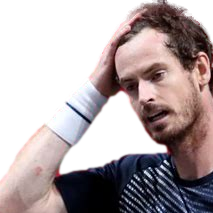 facepalm emote for Discord