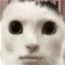 Huh emote for Discord