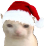 ChristmasCat emote for Discord