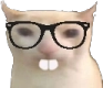 NerdCat emote for Discord