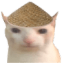 ChinaCat emote for Discord