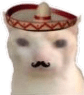 MexicoCat emote for Discord