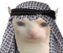 HalalCat emote for Discord