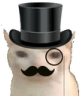 BritishCat emote for Discord