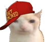 SmokedCat emote for Discord