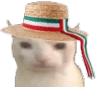 ItalianCat emote for Discord