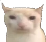 Cat emote for Discord