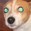 Dawg emote for Discord