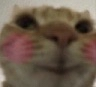 swagblush1 emote for Discord