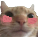 swagblush2 emote for Discord