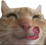 swagyum emote for Discord