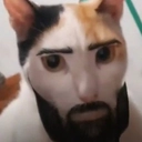 chadcat emote for Discord