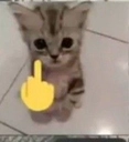 frickyou emote for Discord