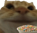 swagnom emote for Discord
