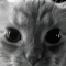 deathmyself emote for Discord