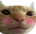 catblush emote for Discord