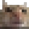 swagpixel emote for Discord