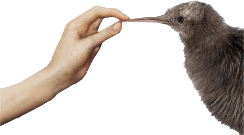 Silencio emote for Discord