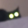 catglowstare emote for Discord