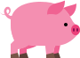 pig emote for Discord