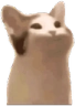 happy_cat emote for Discord