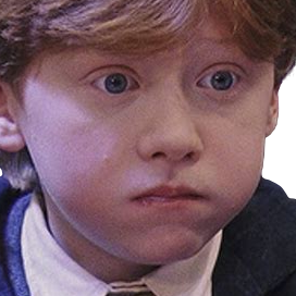 wtf emote for Discord
