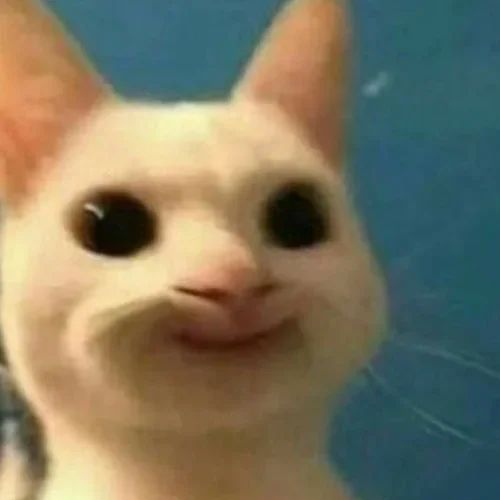 cat emote for Discord