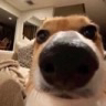AnyConv emote for Discord