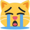 sob_cat emote for Discord