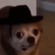 Big_Iron_On_His_Hip_Anim emote for Discord