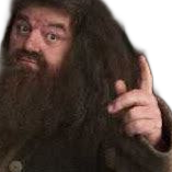 point emote for Discord