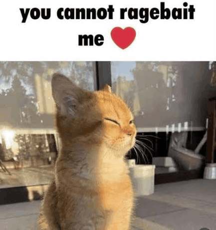 Ragebait static emote
