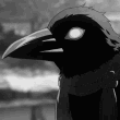c_pet emote for Discord