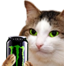 kiisu_monster emote for Discord