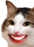 kiisu_creepysmile emote for Discord