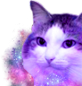 kiisu_galaxy emote for Discord