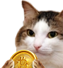 kiisu_crypto emote for Discord