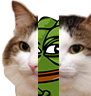 kiisu_pepe emote for Discord