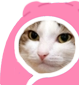 kiisu_cozy emote for Discord