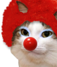 kiisu_clown emote for Discord