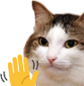 kiisu_wave emote for Discord