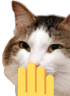 kiisu_giggle emote for Discord
