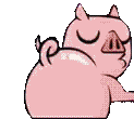 piggy emote for Discord