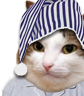 kiisu_sleepy emote for Discord