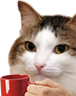 kiisu_coffee emote for Discord