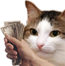 kiisu_cash emote for Discord