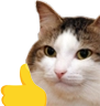 kiisu_thumbsup emote for Discord