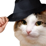kiisu_tiphat emote for Discord