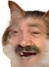 kiisu_risitas emote for Discord