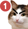 kiisu_pingangry emote for Discord